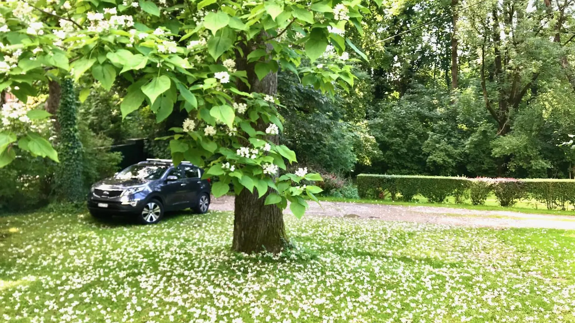 Apartment Schloss Mit Eigenem Garten & Parkplatz R Salzburg